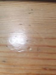 -showcase·形象沙龙