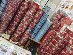 -珍妮曲奇聪明小熊(尖沙咀店)