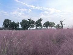 -汉长安城未央宫国家考古遗址公园