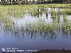 -乌素图国家森林公园