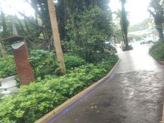 -碧水湾温泉