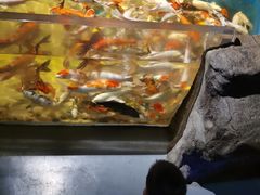 -石家庄海洋公园