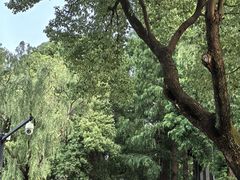 -苏州大学(天赐庄校区)