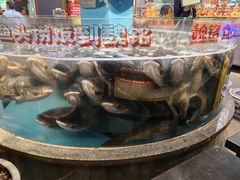 -魏铭鱼头捞饭(晋阳路店)