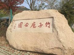 -竹子庵公园