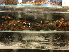 -超级物种·波龙工坊(国贸店)