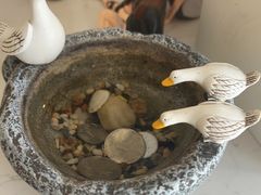 -一杯海(国际海水浴场店)