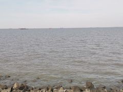 -上海滨江森林公园