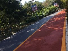 -大兴滨河森林公园