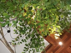 -蜜桃餐厅·伴山(湖滨商业街店)