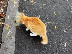 -苏堤停车场