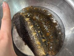 -宾朋海鲜饭庄(兴海路店)