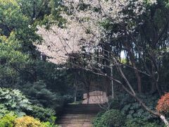 -杭州半山国家森林公园