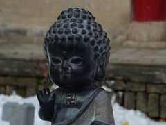 -少华山国家森林公园