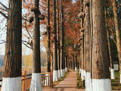 -东湖生态旅游风景区