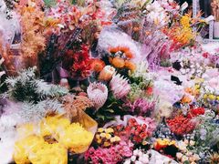 -花鸟鱼虫鲜花绿植市场(玉泉路店)