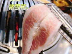 -金顺韩式烤肉·网红烤肉店(广利路店)