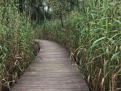 -白塔湖国家湿地公园