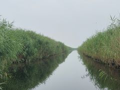 -白洋淀风景区