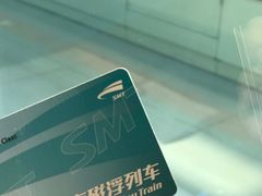 -龙阳路磁悬浮列车总站-停车场