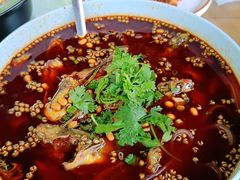 -青城甲(青城山店)