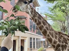 -灵玲国际马戏城