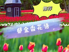 -大宁公园