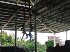 -泉州海丝野生动物世界