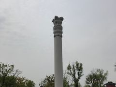-广富林郊野公园