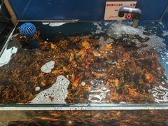 -鼎原力量东北吊炉烧烤(幸福街店)