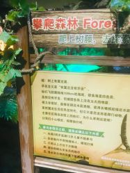 -恐龙探索乐园(磁器口店)