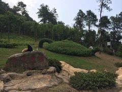 -铁山坪森林公园