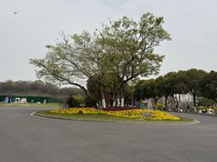 -羊山湖公园