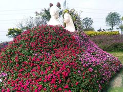 -紫颐香薰山谷景区