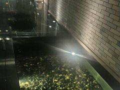 -晶采轩(虹桥路店)