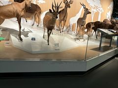 -陕西自然博物馆