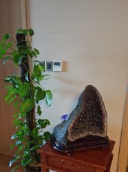 -诗芙侬女士美容SPA