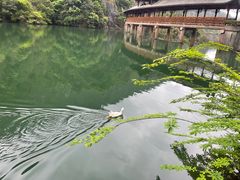 -天台山琼台仙谷景区