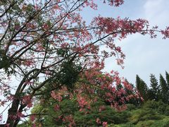 -四海公园(南山区)