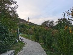 -大连植物园