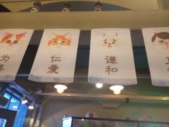 -猫咪博物馆(顶澳仔猫街店)