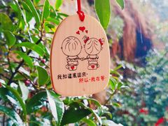 -苍山感通索道