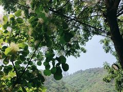 -何适山庄 ·可团建(水长城P2停车场店)