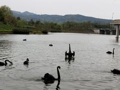 -三岔湖环球融创天堂洲际酒店水乐园