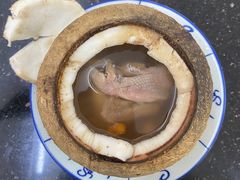 原只椰子炖鹌鹑-達揚原味燉品(文明路店)