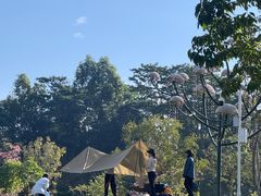 -白石龙音乐公园