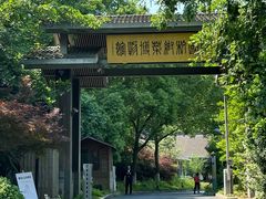 -西湖风景区-江洋畈生态公园