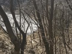 -北京凤凰岭