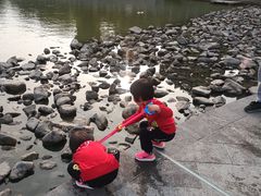 -南翔镇银翔湖公园