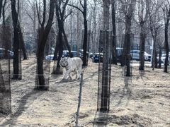 -秦皇岛野生动物园